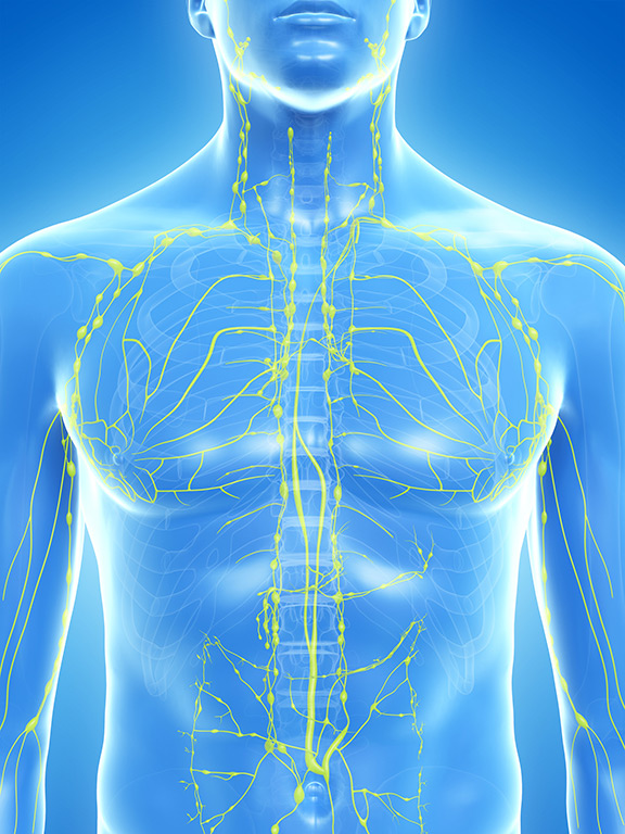 Le drainage lymphatique manuel selon la méthode du Dr Emil Vodder